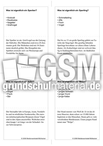 Quiz-Karten-Tiernamen 11.pdf